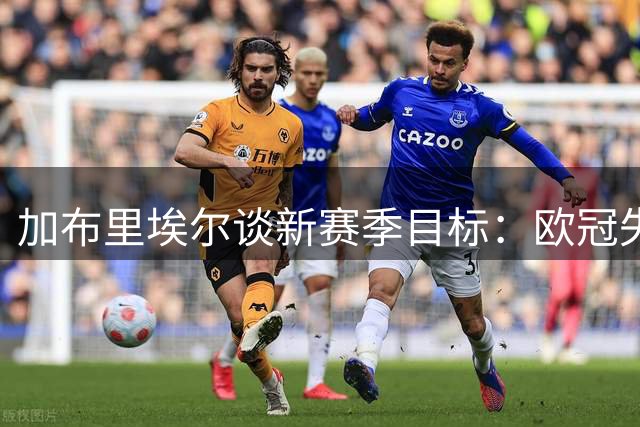加布里埃尔谈新赛季目标：欧冠失利成前进动力