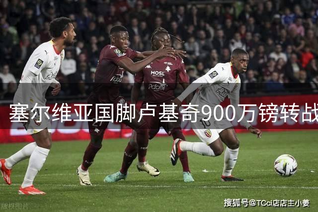 塞尔维亚国脚卢基奇900万镑转战伊普斯维奇 签约四年开启新篇章